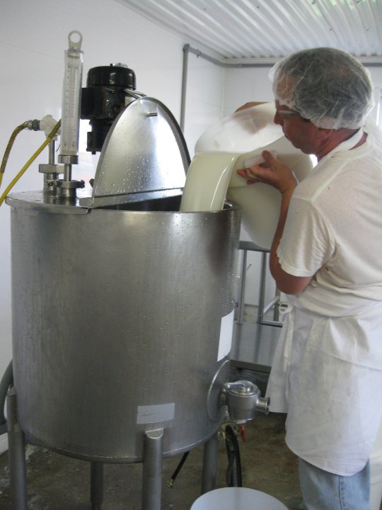 Peter pouring milk into one of our vat pasteurizers.